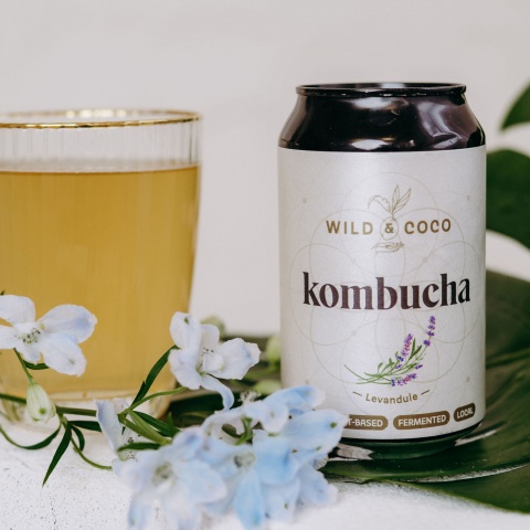 Kombucha – Jasmín