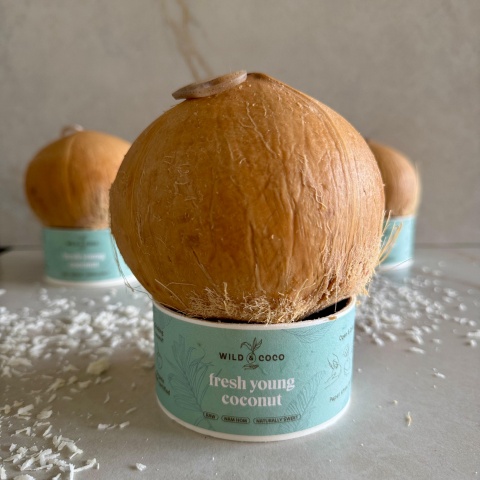 Wild Raw Coconut Water BIO – kopie